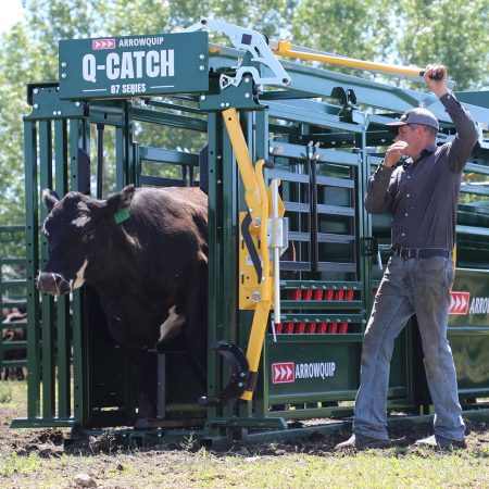 Q-Catch Cattle Yoke Gate | Cattle Head Catch | Arrowquip