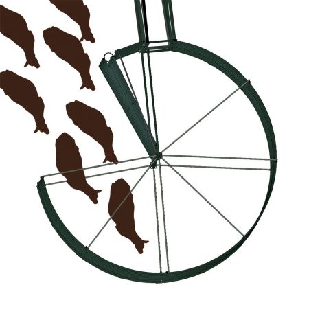 cattle enter forcing pen