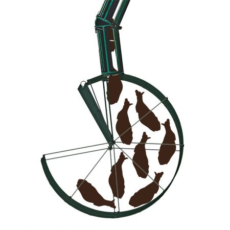 cattle enter cattle race from force pen