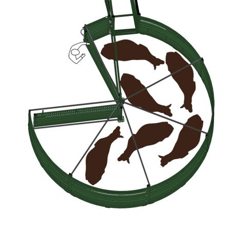 cattle turning around in forcing pen