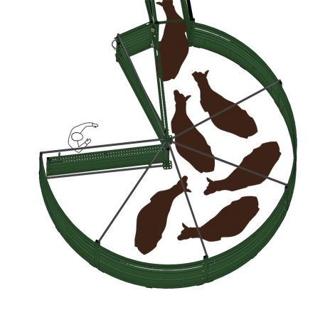 cattle move into the cattle race