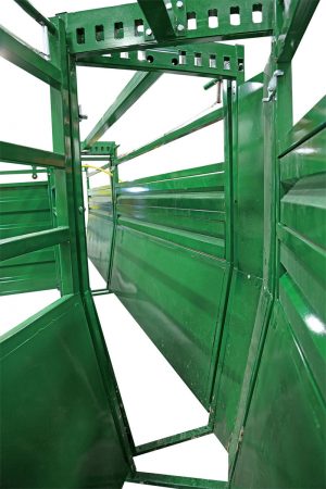 Inside view of curved adjustable cattle race