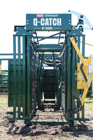 Cattle yoke gate fully open on a farm