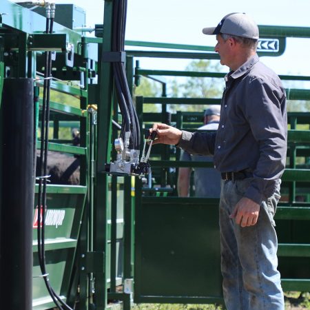 farmer using head sweep controls on hydraulic cattle crush