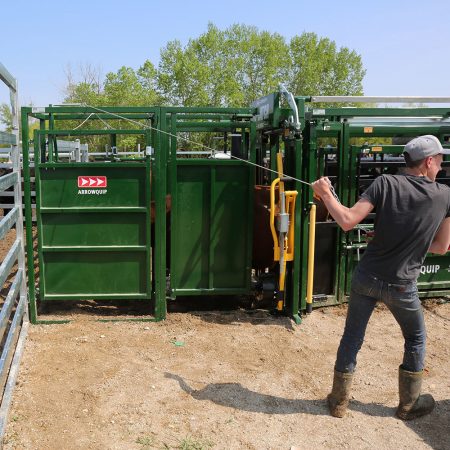 Cattle sorting an drafting gate side image