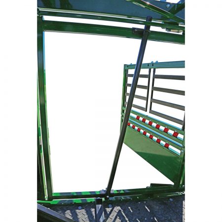 Calf restrainer bar inside crush