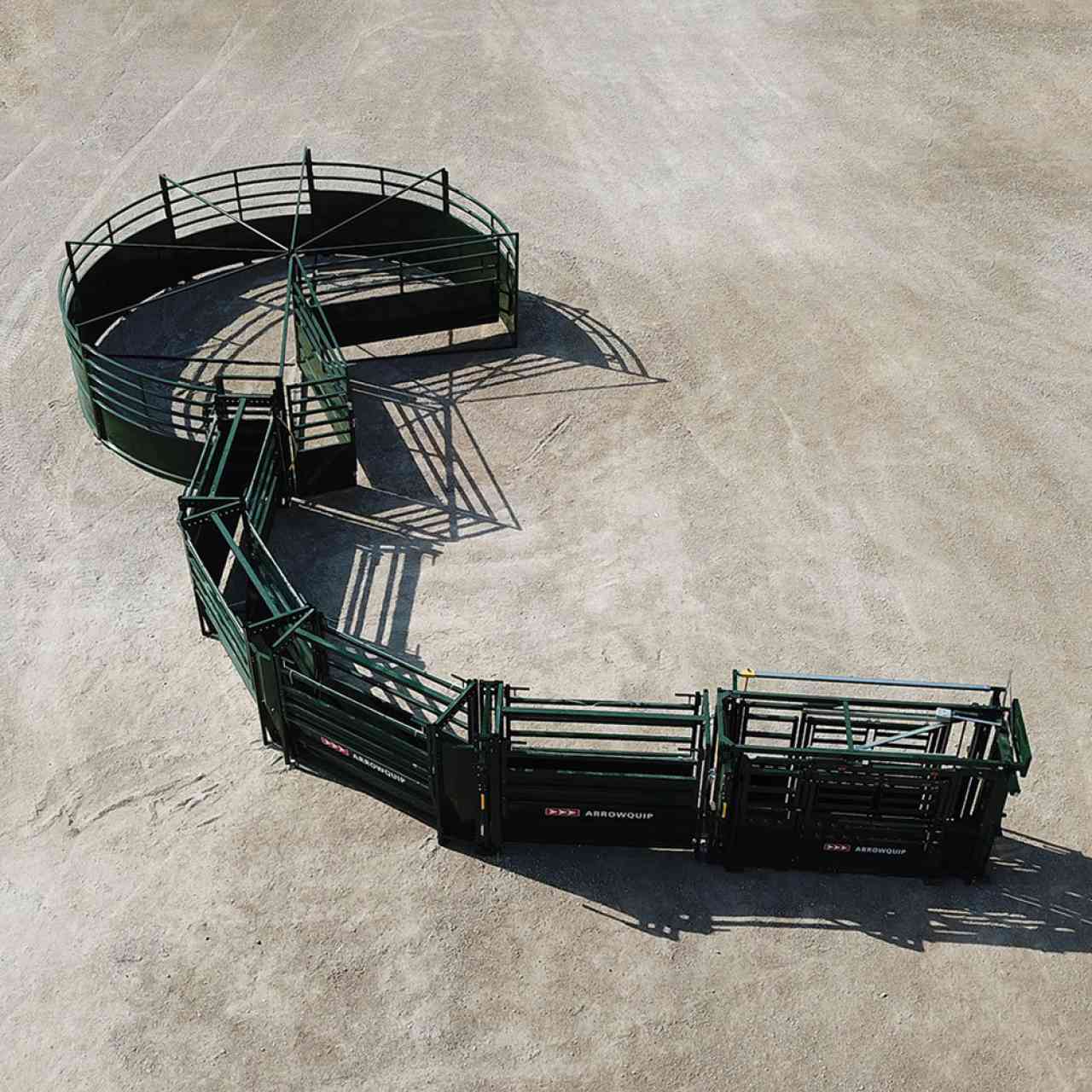 S-Flow Cattle Handling System 90 degree curve