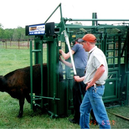 Making Revisions to the First NA Q-Catch